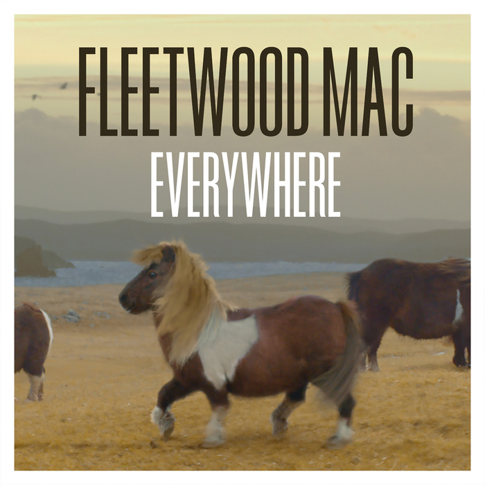 Download fleetwood mac everywhere mp3 downloader